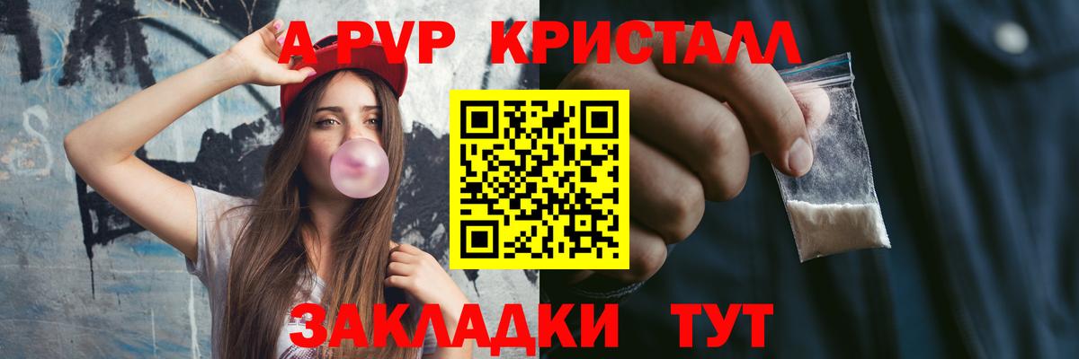 A PVP СК КРИС Прокопьевск