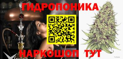 скорость Заводоуковск