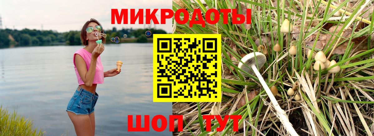 Галлюциногенные грибы мицелий  Вход с VPN  Прокопьевск 