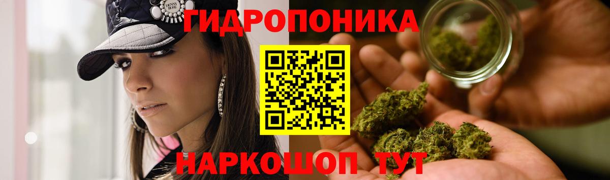 Каннабис семена  Бошки марихуана Bruce Banner  Каннабис SATIVA & INDICA  Прокопьевск  Вход с VPN 